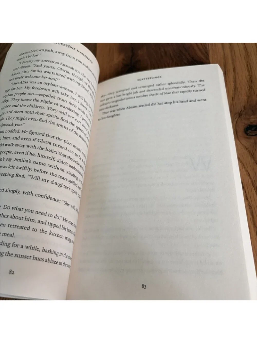 Scatterlings novel by